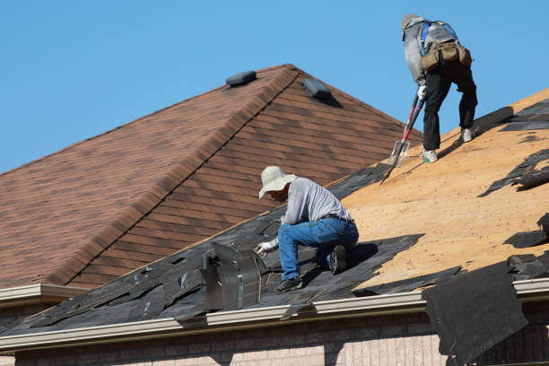 Best Roof Installation  in Minot, ND